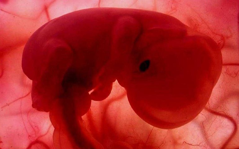 Feto é achado enterrado na zona rural de Girau do Ponciano, Alagoas