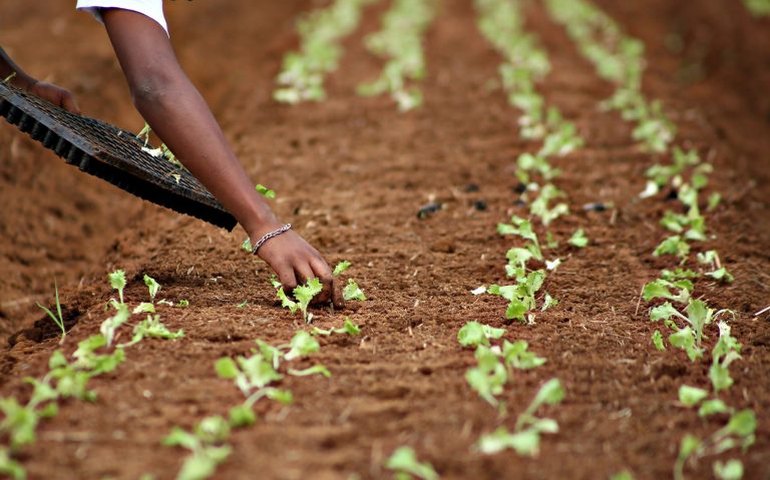 Lula veta fim do limite de dedução no Imposto de Renda para empresas de sementes
