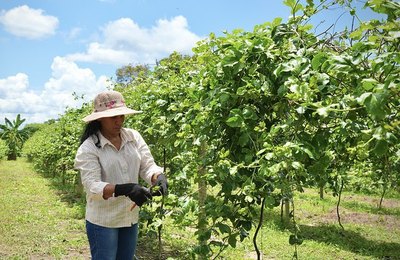 Entre retalhos e oportunidades: a moda que gerou impacto social na vida de mulheres da periferia