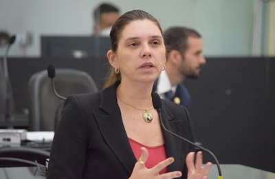 Deputada apela por ajuda a agricultores familiares: “Ainda mais importante neste momento”