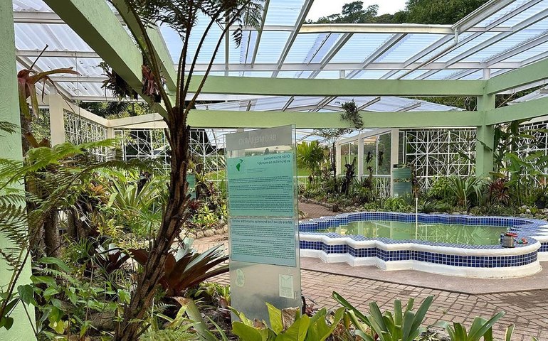 Jardim Botânico do Rio reabre bromeliário, após nove meses em obras