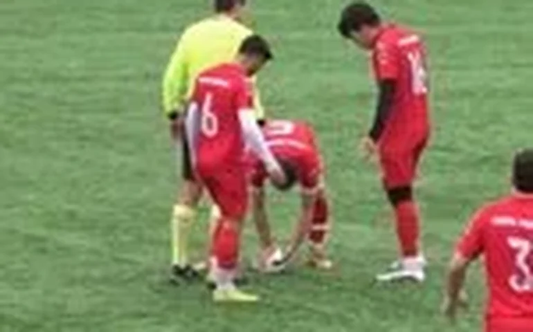 Após derrota, jogador turco que salvou gaivota destaca: 'Salvar uma vida foi mais importante'