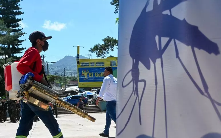 Brasil inaugura fábrica de mosquitos para combater dengue