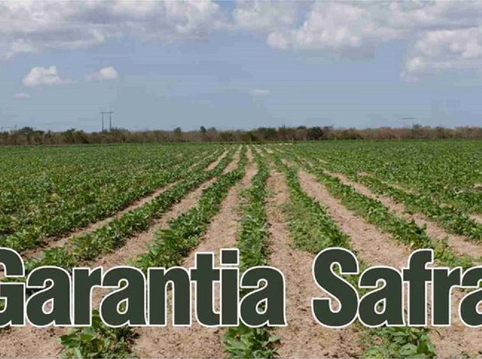 CNM alerta gestores sobre alterações no Garantia Safra para 2016/2017