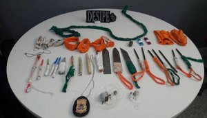 apreensão cadeião  / Foto: Agentes 
