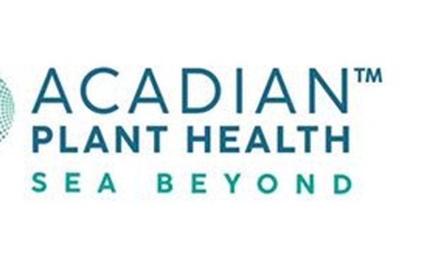Acadian anuncia vencedores da primeira edição do Projeto Jovem Cientista com pesquisas sobre solos e extratos de algas marinhas