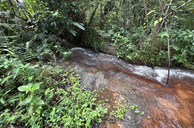 Rota do Cacau amplia ecoturismo e preservação ambiental em Matriz de Camaragibe