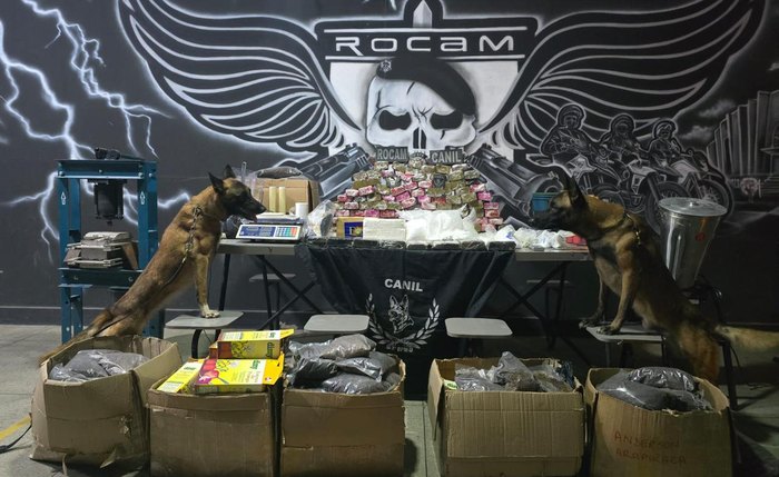 PM apreende mais de 50 quilos de drogas em casa abandonada em Arapiraca