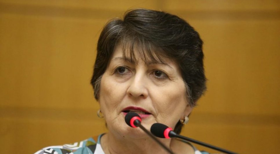 DEPUTADA MARIA MENDONÇA
