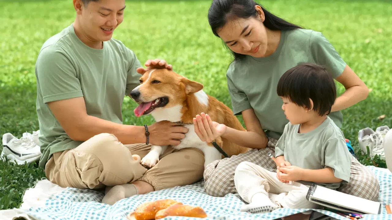Dia Mundial do Cachorro: ciência comprova que cães protegem a imunidade de bebês e reduzem estresse em adultos