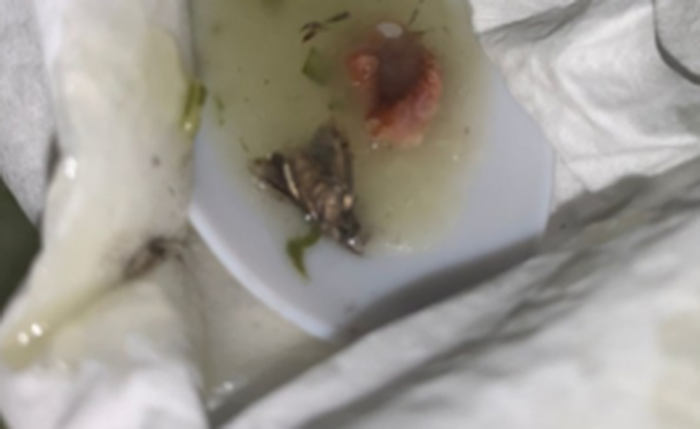 Mosca supostamente encontrada na comida do RU