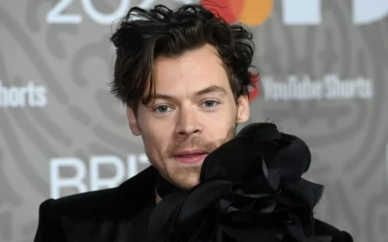 Brasileira presa por perseguir Harry Styles enviou 8 mil cartas ao cantor