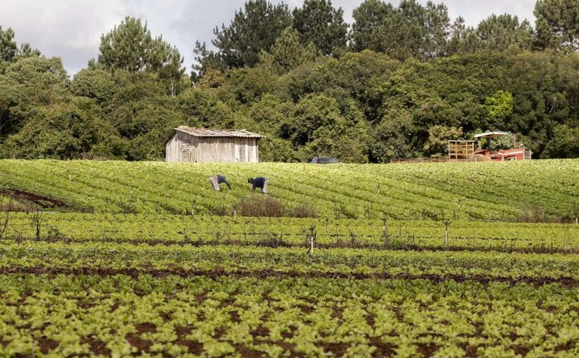 Seminário da Comissão de Legislação Participativa celebra o Dia do Extensionista Rural