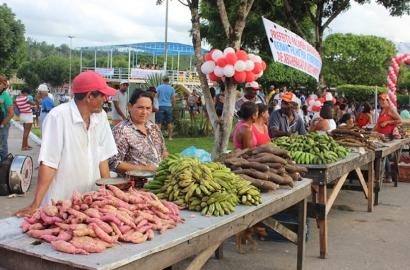 Famílias em situação de vulnerabilidade de Cajueiro recebem cestas de produtos orgânicos