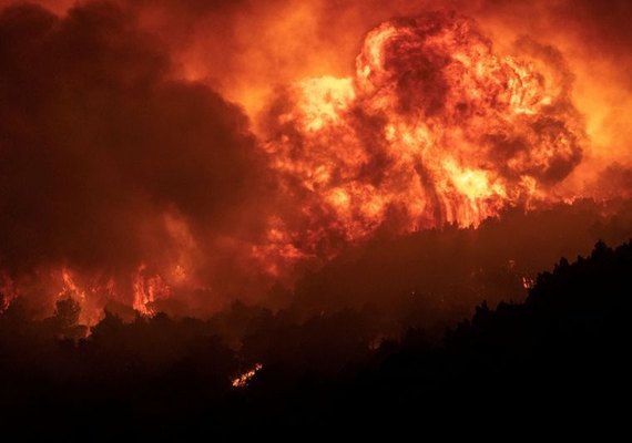 Incêndio florestal na Grécia é o 'maior em solo europeu em anos'