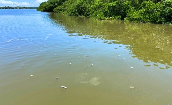 Além da fiscalização ambiental, MPF requisitou instauração de inquérito pela polícia federal
