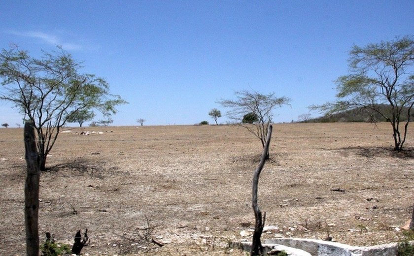 Seminário estadual debate combate à desertificação em Alagoas