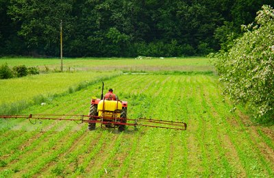 Crédito rural cresce 13,6% em Alagoas e aproxima-se de R$ 1,5 bilhão, aponta BC