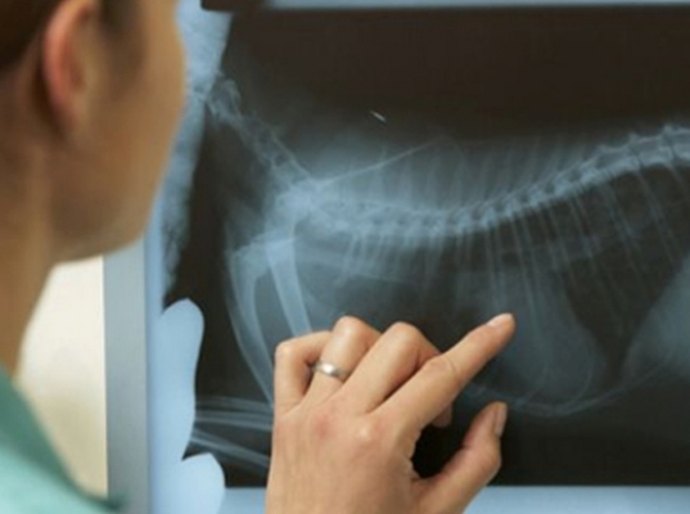 Inédito: Alagoas terá curso em radiologia do tórax na prática clínica