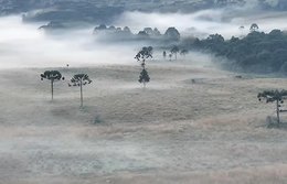 Massa de ar frio derruba temperaturas no Sul do país