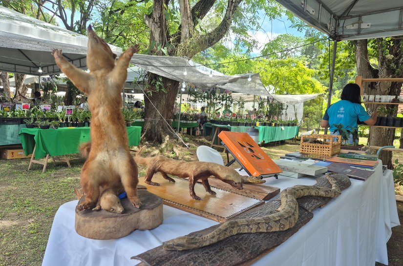Estande do IMA/AL leva educação ambiental à Exposição de Orquídeas e Bromélias de Alagoas