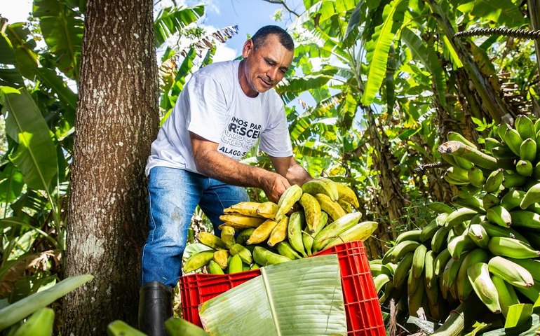 Cooperativas da agricultura familiar contribuem para o desenvolvimento econômico de Alagoas