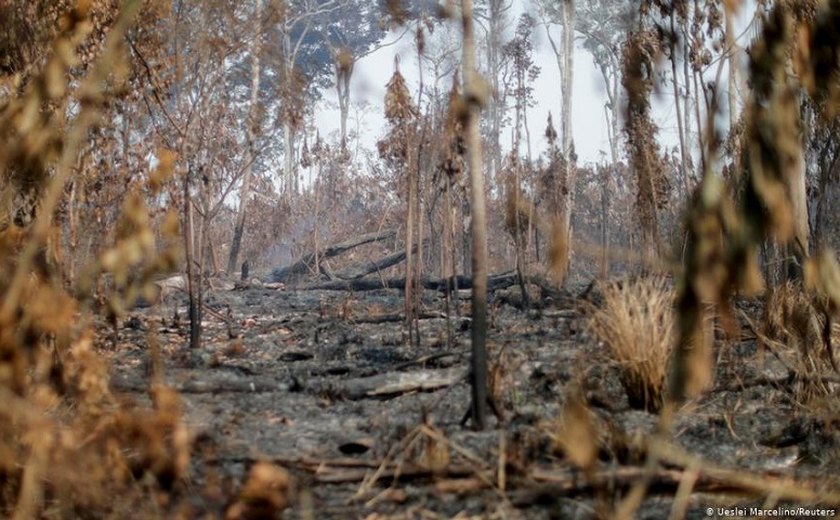Criticado por queimadas, governo ensaia reduzir verba de município que desmata