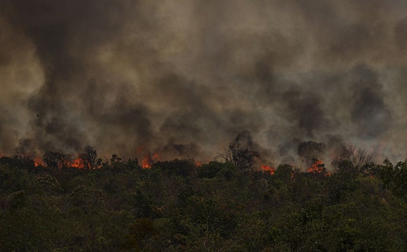 Secretário do MMA vê conotação politica em queimadas na Amazônia