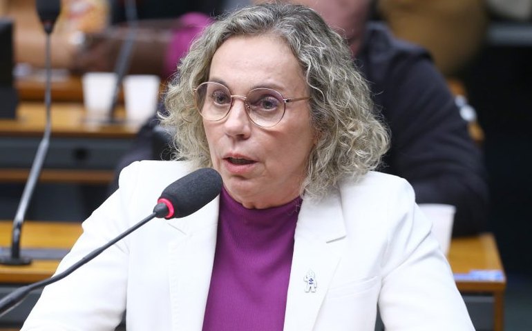 Participantes de debate defendem mais informação e investimento no parto domiciliar