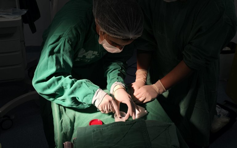 Hospital Regional da Mata realiza a primeira captação de órgãos para transplantes