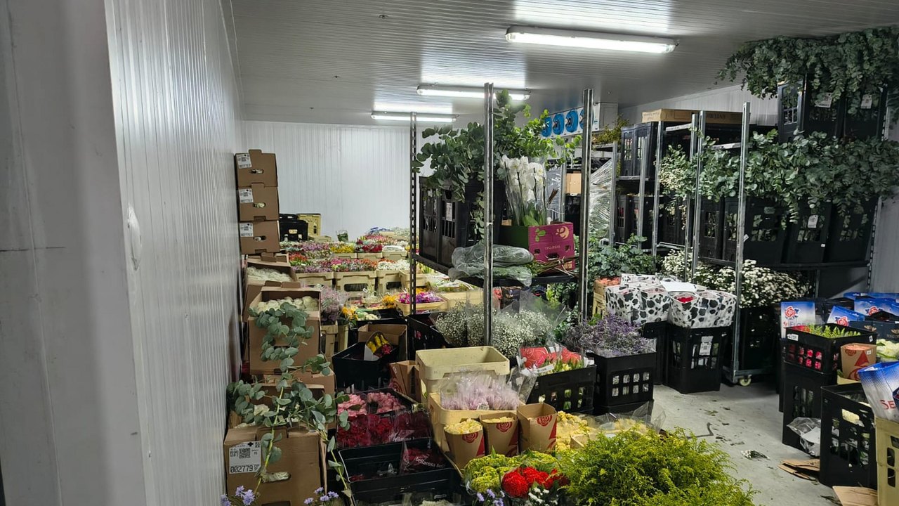 Sefaz apreende R$ 100 mil em flores sem nota fiscal em depósito irregular