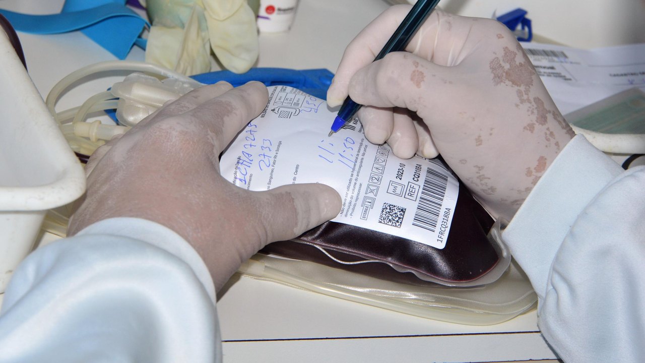 Hemoal realiza coletas externa de sangue em Arapiraca e Porto Calvo nesta terça-feira (26)