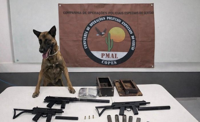 PM expõe material apreendido em ônibus interestadual; dono não foi identificado