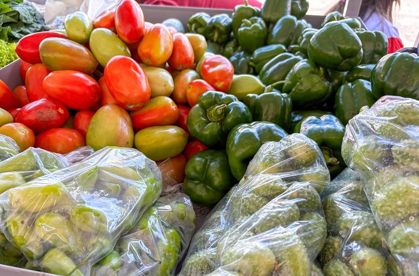 Comercialização de alimentos saudáveis e de qualidade fortalece cadeia produtiva local no Circuito de Feiras