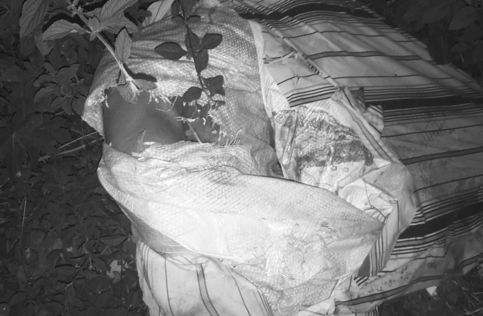 Corpo enrolado em saco plástico é encontrado na Zona de Expansão de Aracaju / Foto: Foto: Reprodução/Redes Sociais