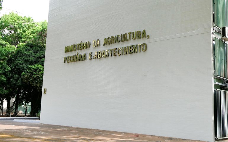 Agricultura confirma mais um caso de gripe aviária em ave silvestre; total sobe para 115