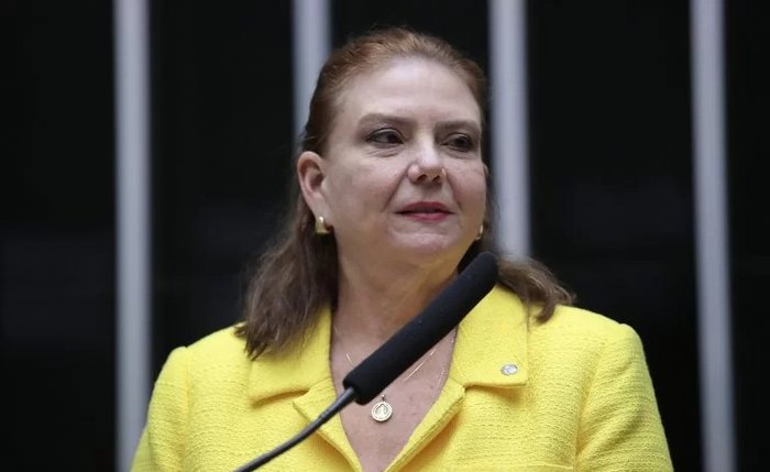 Deputada Fernanda Pessoa Deputada Fernanda Pessoa
