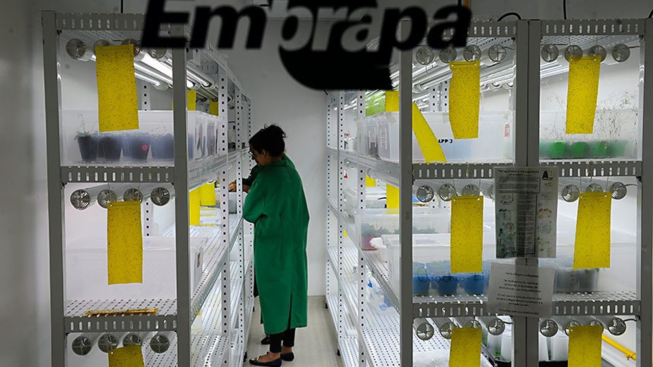 CRA faz audiência pública sobre 50 anos da Embrapa