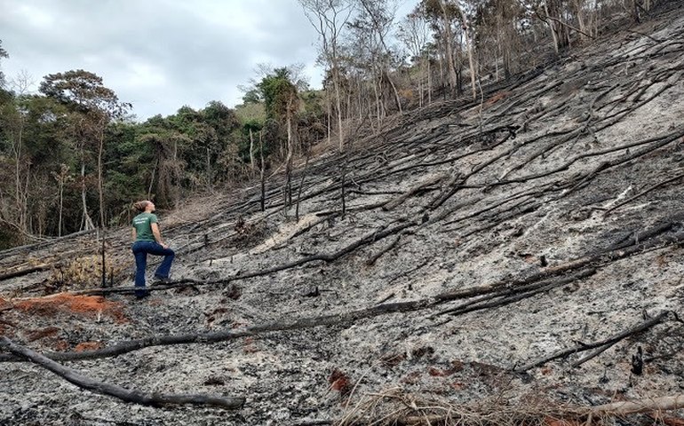 Zema trocou chefia de fiscalização ambiental de MG 11 vezes