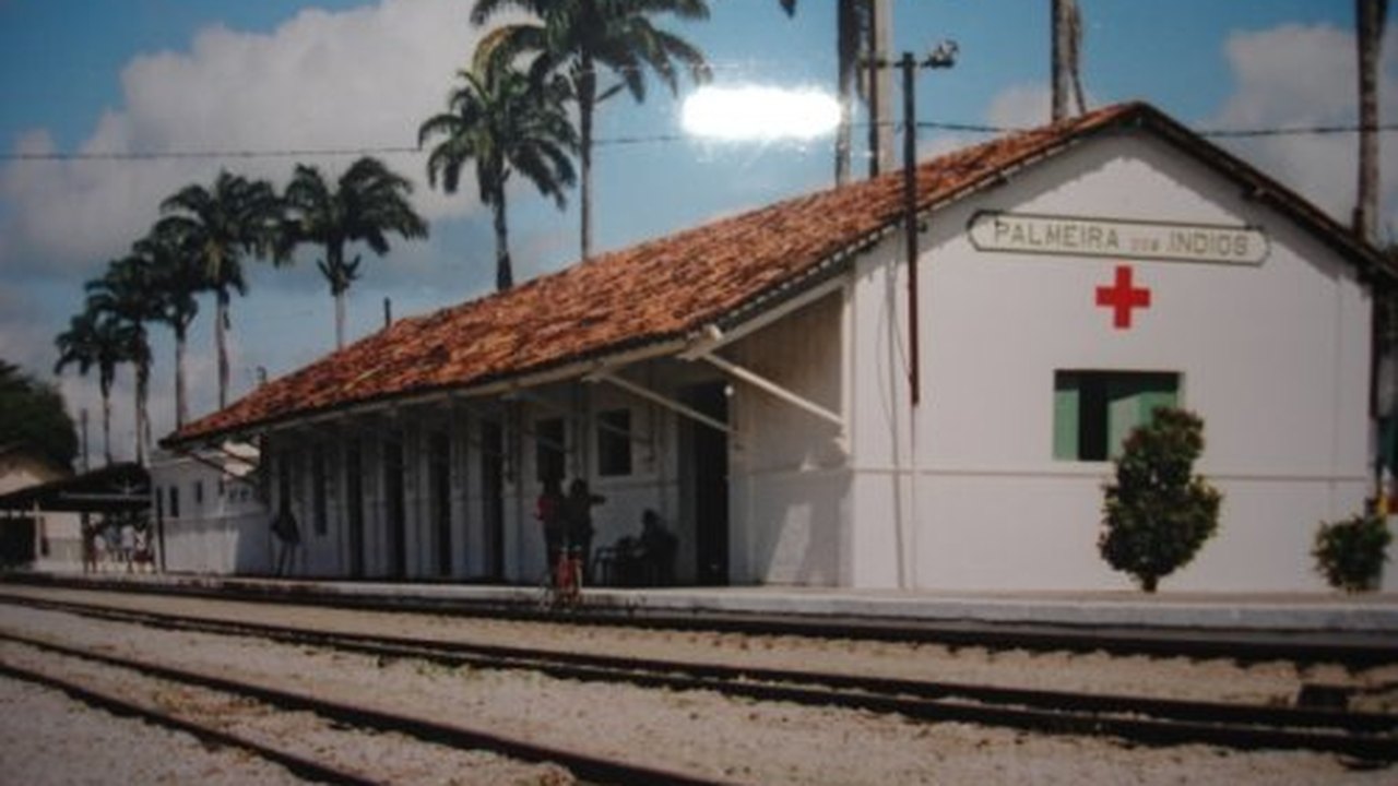 Palmeira dos Índios tem 967 casos de Covid-19