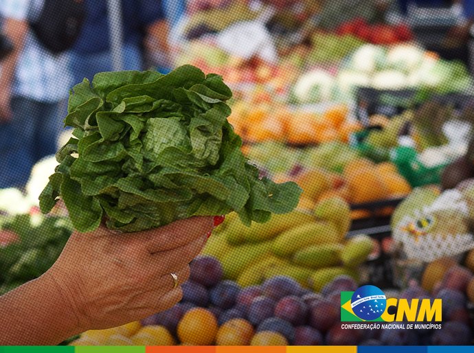 Garantia-Safra: agricultores familiares receberão o recurso do garantia-safra em julho