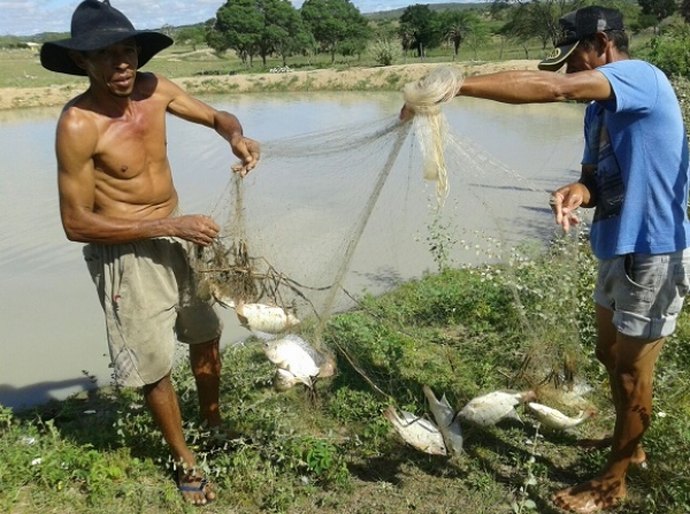 Governo de Alagoas distribuiu 2,4 milhões de alevinos em 2016