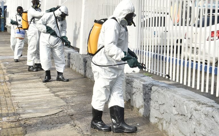 Medida provisória modifica lei de combate a emergências fitossanitárias