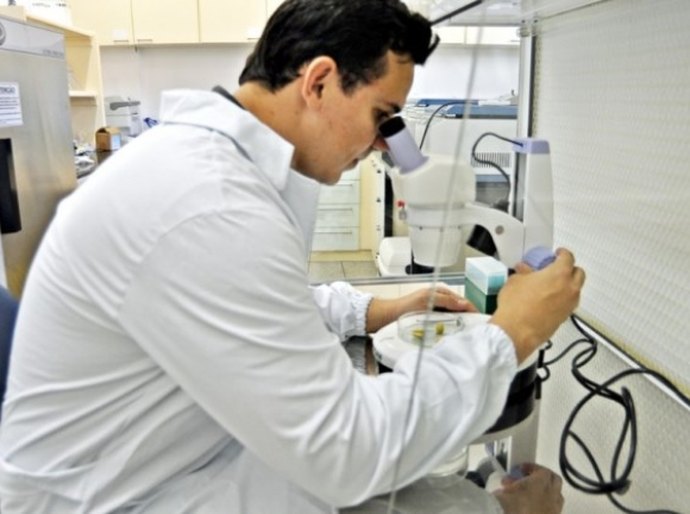 AL mira em cooperação científica internacional para investidores coreanos