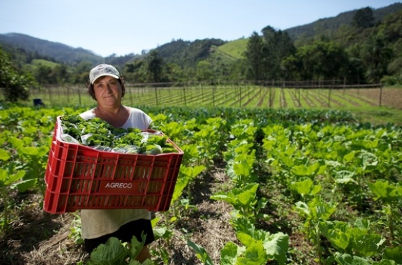 Inscrições para seminário sobre Reforma Agrária e Agricultura Familiar