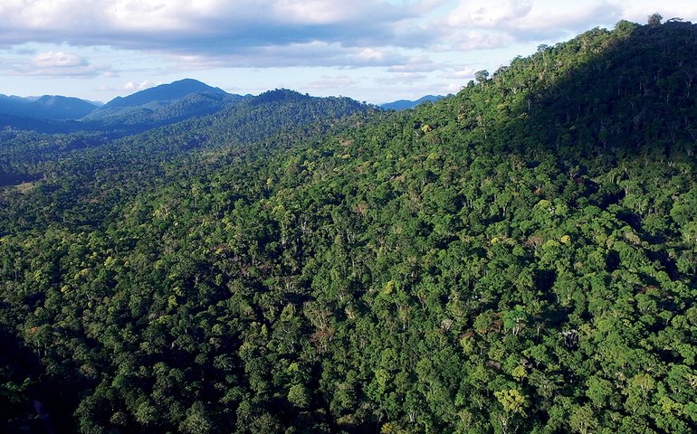 Empreendimento imobiliário de luxo ameaça Mata Atlântica no Alto da Boa Vista