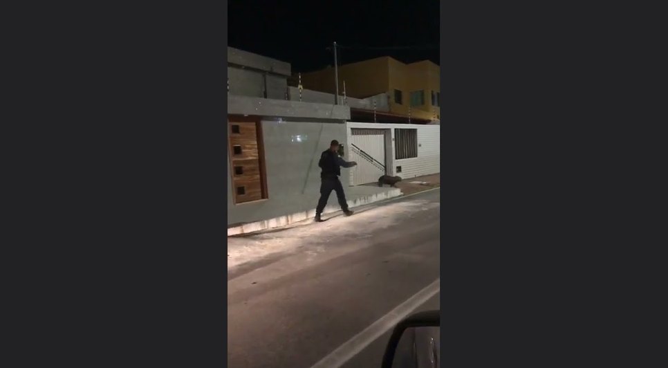 Capivara é resgatada na Orla de Atalaia em Aracaju.jpg