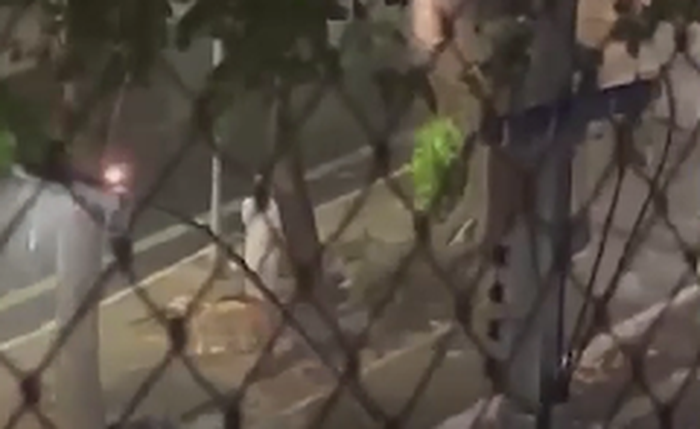 Cena foi registrada na Av. Professor Sandoval Arroxelas