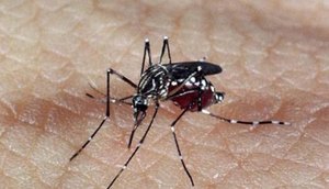 zika