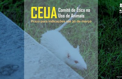 Comitê de Ética da Ufal seleciona representante de sociedades de animais